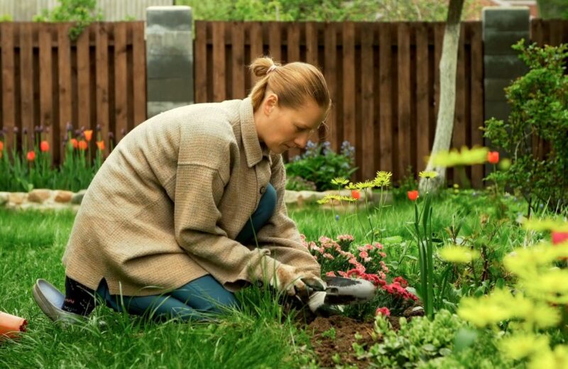 Pravilna sadnja i izbor cveća prema uslovima osiguravaju lepotu i zdravlje vašeg dvorišta.