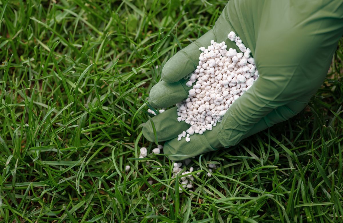 Pravilno đubrenje travnjaka u proleće poboljšava rast, zdravlje i otpornost trave na bolesti.