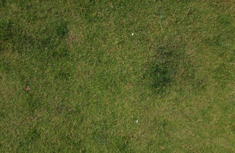 Prepoznavanje nedostatka hranljivih materija i pravilna primena đubriva ključni su za zdrav travnjak.