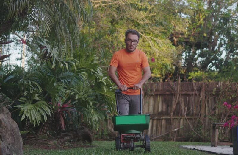 Ravnomerno đubrenje i aeracija poboljšavaju rast trave, dok zalivanje aktivira hranljive sastojke.